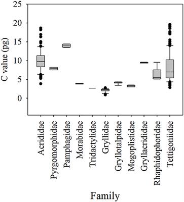 The Evolutionary Patterns of Genome Size in Ensifera (Insecta: Orthoptera)